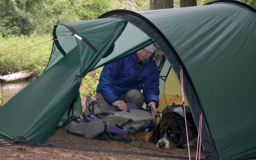 Tents * | Hilleberg Nallo 2 Gt