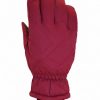 Gloves * | Xtm Xpress Ii Snow Glove