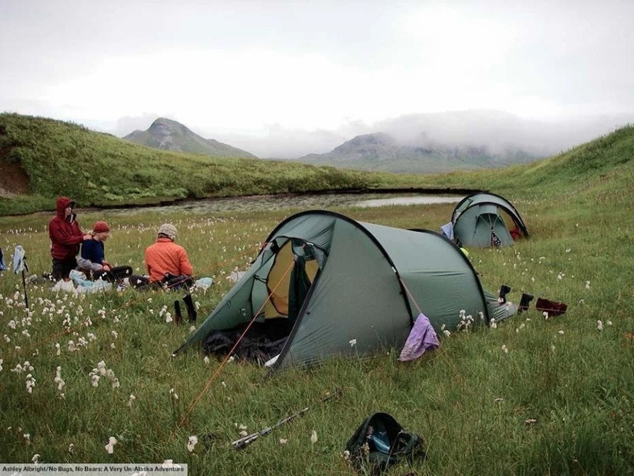 Tents * | Hilleberg Nallo 2