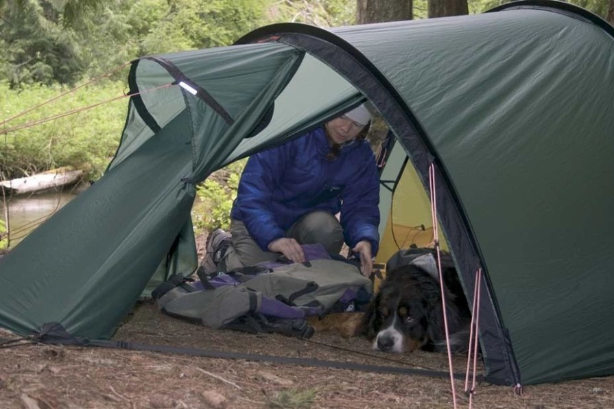 Tents * | Hilleberg Nallo 2 Gt